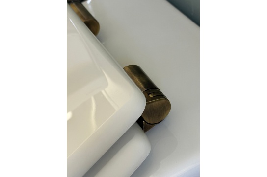 Claremont White Soft Close Toilet Seat - Antique Brass Hinges